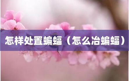 怎样处置蝙蝠（怎么冶蝙蝠）