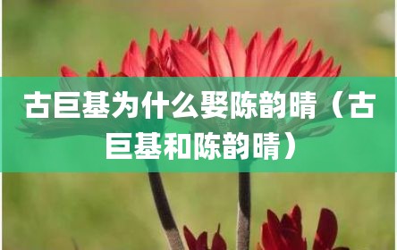 古巨基为什么娶陈韵晴（古巨基和陈韵晴）