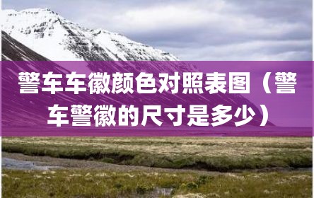 警车车徽颜色对照表图（警车警徽的尺寸是多少）