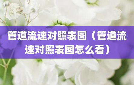 管道流速对照表图（管道流速对照表图怎么看）