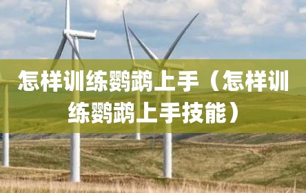 怎样训练鹦鹉上手（怎样训练鹦鹉上手技能）