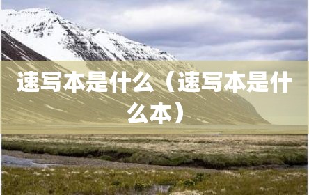 速写本是什么（速写本是什么本）