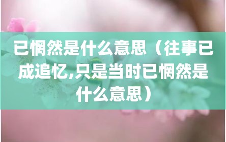 已惘然是什么意思（往事已成追忆,只是当时已惘然是什么意思）