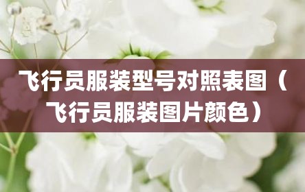 飞行员服装型号对照表图（飞行员服装图片颜色）
