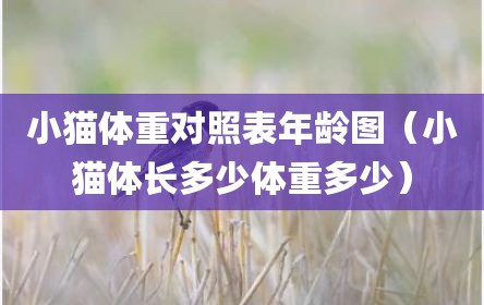 小猫体重对照表年龄图（小猫体长多少体重多少）