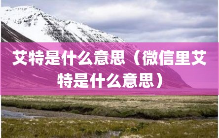 艾特是什么意思（微信里艾特是什么意思）