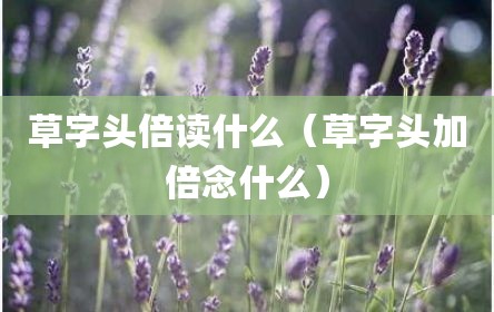 草字头倍读什么（草字头加倍念什么）