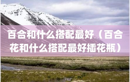 百合和什么搭配最好（百合花和什么搭配最好插花瓶）