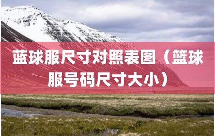 蓝球服尺寸对照表图（篮球服号码尺寸大小）