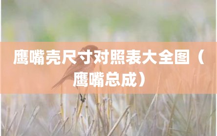 鹰嘴壳尺寸对照表大全图（鹰嘴总成）