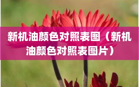 新机油颜色对照表图（新机油颜色对照表图片）