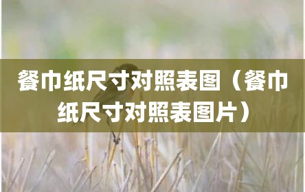 餐巾纸尺寸对照表图（餐巾纸尺寸对照表图片）