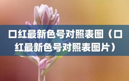口红最新色号对照表图（口红最新色号对照表图片）