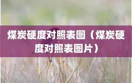 煤炭硬度对照表图（煤炭硬度对照表图片）