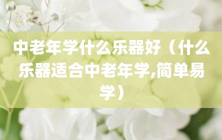 中老年学什么乐器好（什么乐器适合中老年学,简单易学）