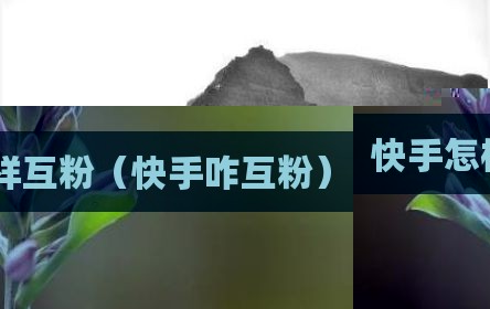 快手怎样互粉（快手咋互粉）
