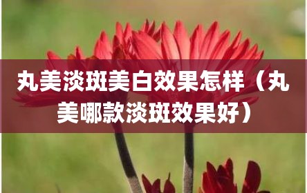 丸美淡斑美白效果怎样（丸美哪款淡斑效果好）