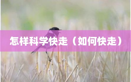 怎样科学快走（如何快走）