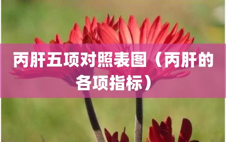 丙肝五项对照表图（丙肝的各项指标）