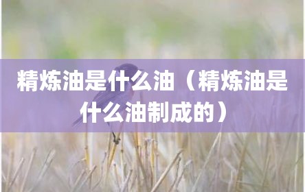 精炼油是什么油（精炼油是什么油制成的）