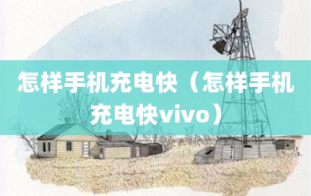 怎样手机充电快（怎样手机充电快vivo）