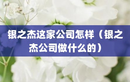银之杰这家公司怎样（银之杰公司做什么的）