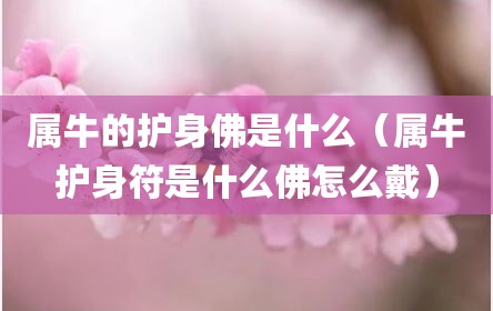属牛的护身佛是什么（属牛护身符是什么佛怎么戴）