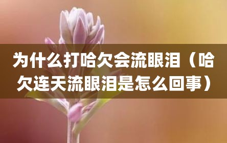 为什么打哈欠会流眼泪（哈欠连天流眼泪是怎么回事）