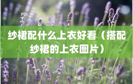 纱裙配什么上衣好看（搭配纱裙的上衣图片）