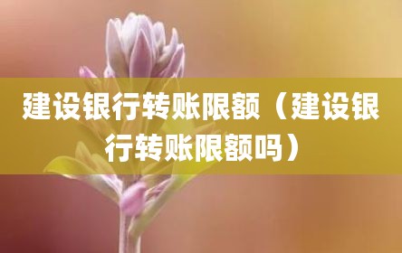 建设银行转账限额（建设银行转账限额吗）
