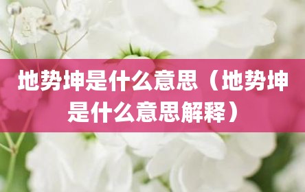 地势坤是什么意思（地势坤是什么意思解释）