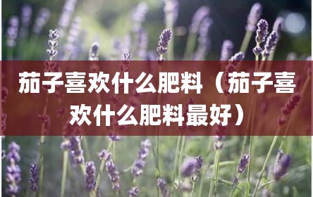 茄子喜欢什么肥料（茄子喜欢什么肥料最好）