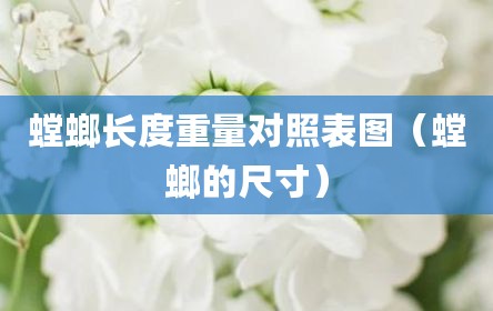 螳螂长度重量对照表图（螳螂的尺寸）