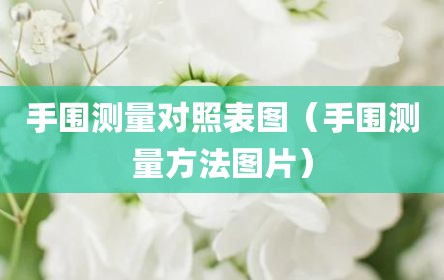 手围测量对照表图（手围测量方法图片）