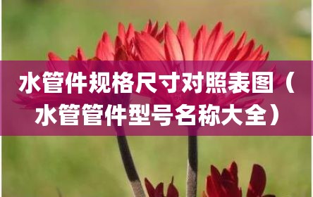 水管件规格尺寸对照表图（水管管件型号名称大全）
