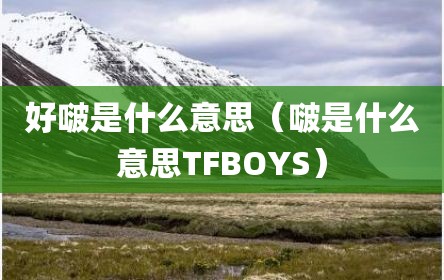 好啵是什么意思（啵是什么意思TFBOYS）
