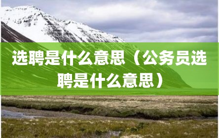 选聘是什么意思（公务员选聘是什么意思）