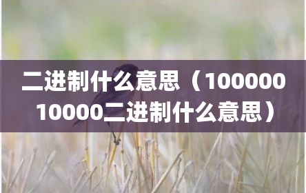 二进制什么意思（10000010000二进制什么意思）