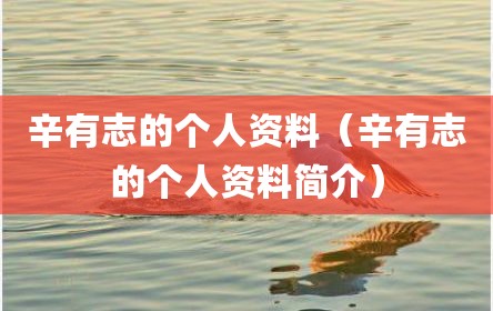 辛有志的个人资料（辛有志的个人资料简介）