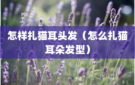 怎样扎猫耳头发（怎么扎猫耳朵发型）