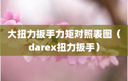 大扭力扳手力矩对照表图（darex扭力扳手）