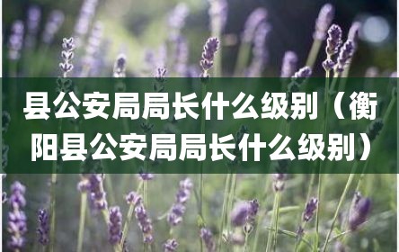 县公安局局长什么级别（衡阳县公安局局长什么级别）