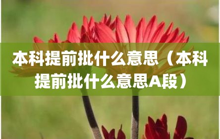 本科提前批什么意思（本科提前批什么意思A段）