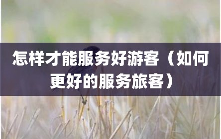 怎样才能服务好游客（如何更好的服务旅客）
