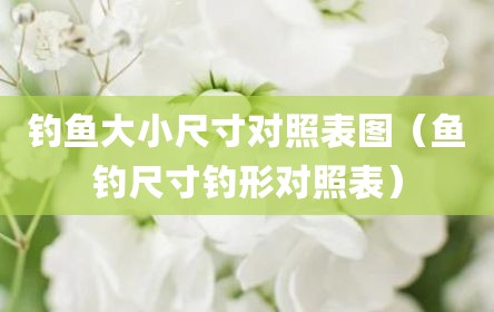 钓鱼大小尺寸对照表图（鱼钓尺寸钓形对照表）
