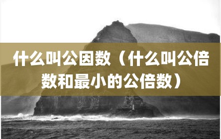 什么叫公因数（什么叫公倍数和最小的公倍数）