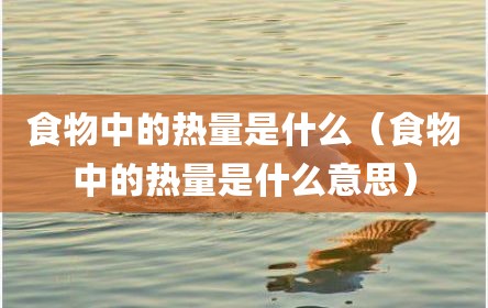 食物中的热量是什么（食物中的热量是什么意思）