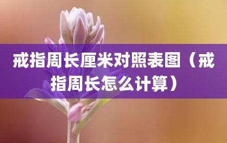 戒指周长厘米对照表图（戒指周长怎么计算）