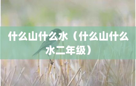 什么山什么水（什么山什么水二年级）