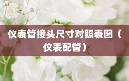 仪表管接头尺寸对照表图（仪表配管）